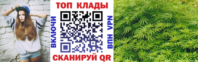 A PVP Армавир