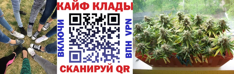 Продажа наркотиков Армавир Конопля  Меф мяу мяу  COCAIN  Alpha-PVP  Гашиш 