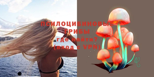 амфетамин Богданович