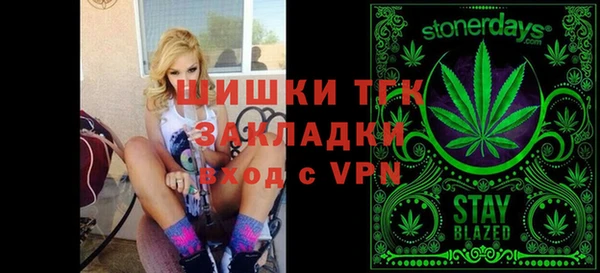 тгк Богородицк