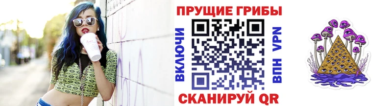 Псилоцибиновые грибы Psilocybe  даркнет сайт  кракен зеркало  Армавир 