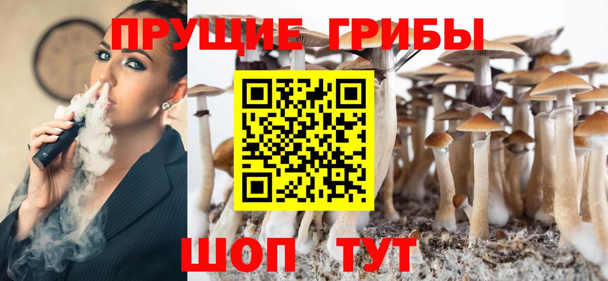 Галлюциногенные грибы Psilocybe Армавир
