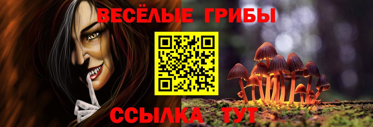 Псилоцибиновые грибы мухоморы  Галлюциногенные грибы Psilocybe  Вход с VPN  Армавир 